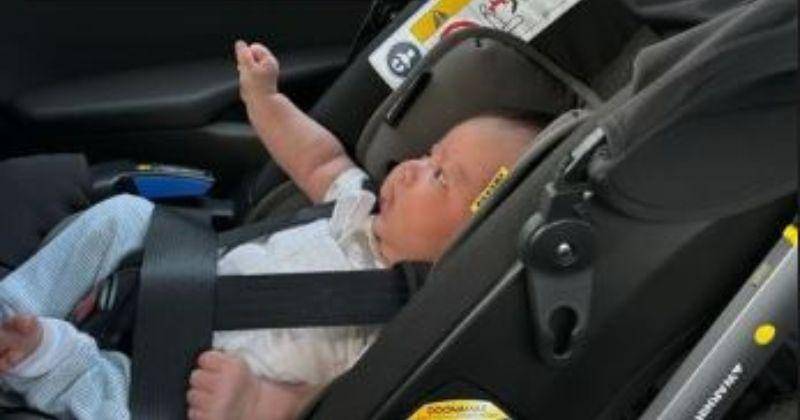 Instagram.com/zoeharperbertoli